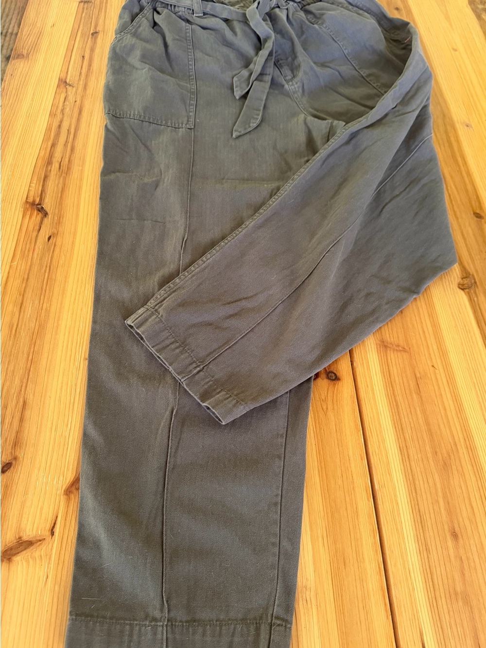 The Normal Brand paperbag waist pants with tie closure and button zip-fly.
